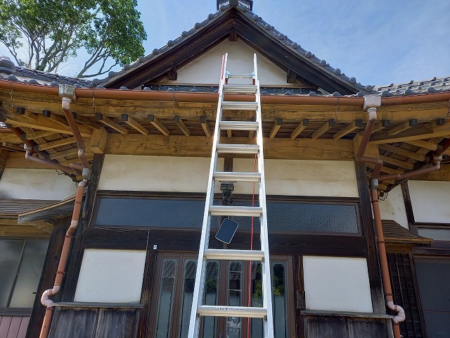 ハシゴを掛けて調査開始です